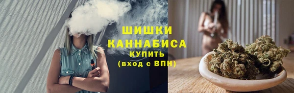 крисы Баксан