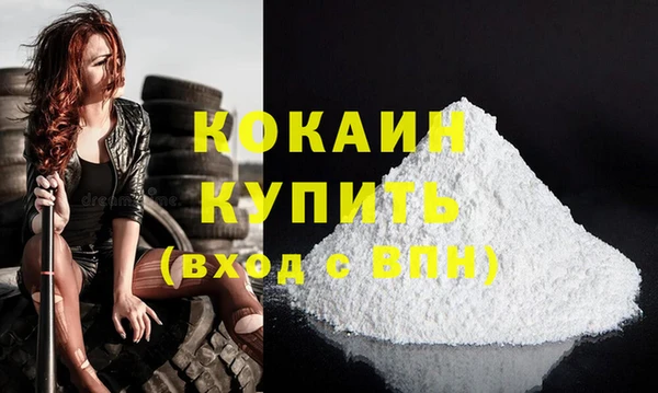 крисы Баксан