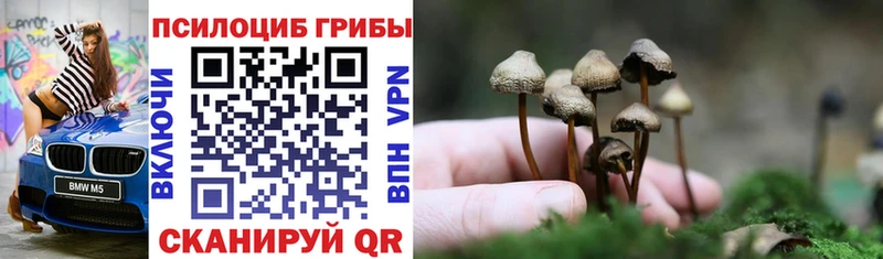 Галлюциногенные грибы Magic Shrooms  Биробиджан 