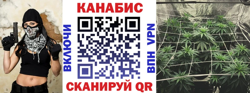 Бошки марихуана AK-47  наркошоп  mega зеркало  Биробиджан 